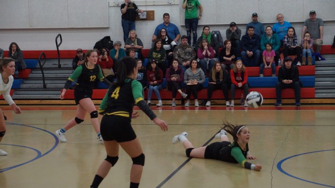 volleyball 8